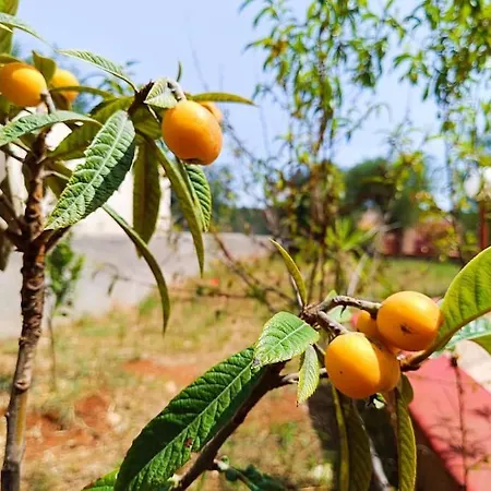 Дом отдыха Vento Del Sud *