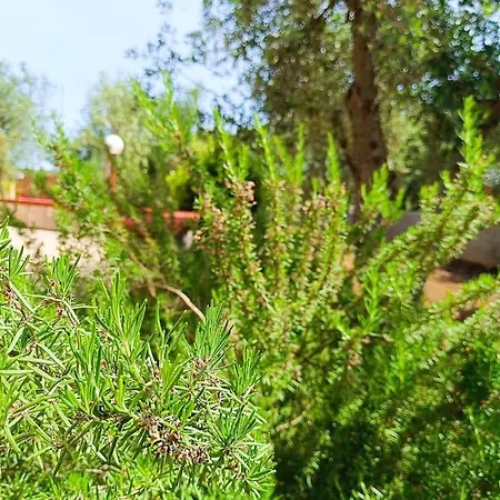 Дом отдыха Vento Del Sud Villa Castelli