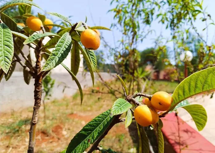 Дом отдыха Vento Del Sud *